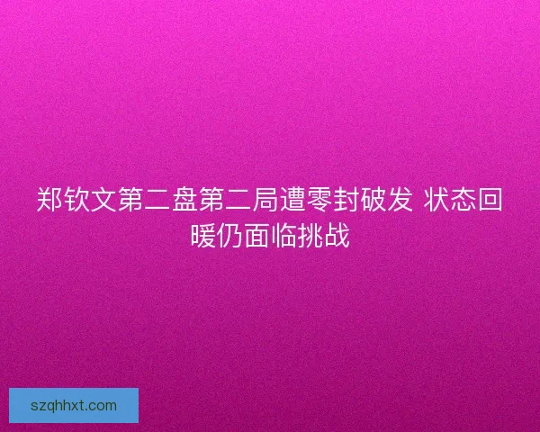 郑钦文第二盘第二局遭零封破发 状态回暖仍面临挑战