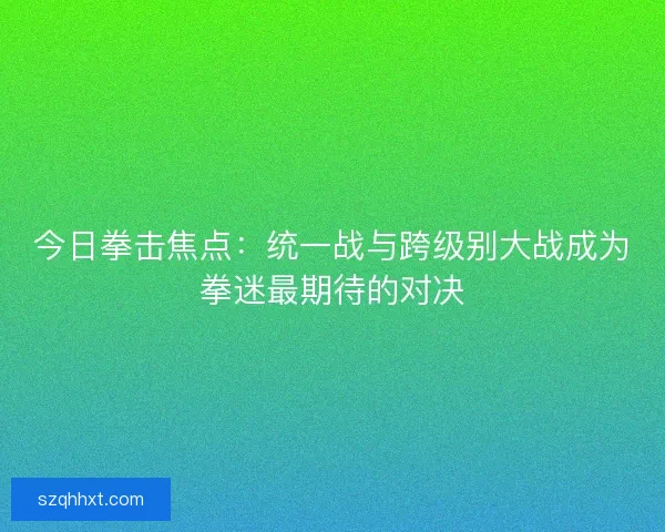 今日拳击焦点：统一战与跨级别大战成为拳迷最期待的对决